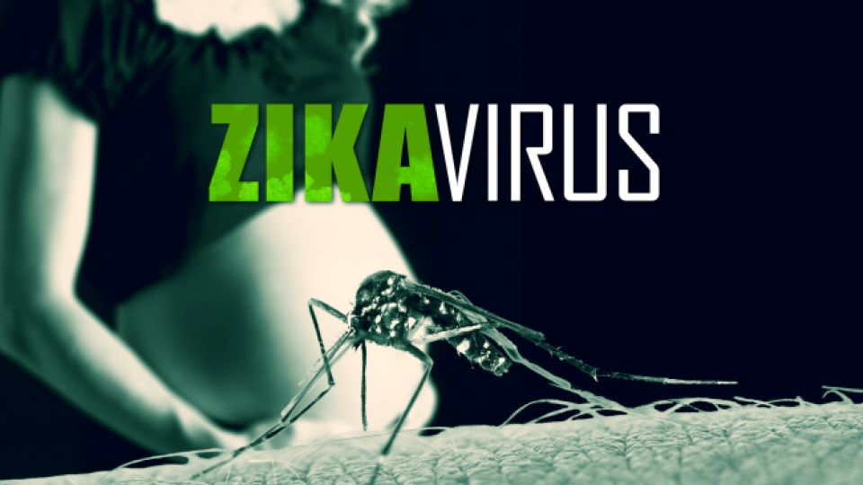 virus zika da xuat hien tai 73 nuoc va vung lanh tho