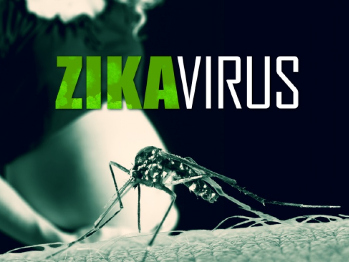 Virus Zika đã xuất hiện tại 73 nước và vùng lãnh thổ