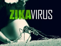 campuchia xac nhan truong hop nhiem virus zika dau tien sau 6 nam