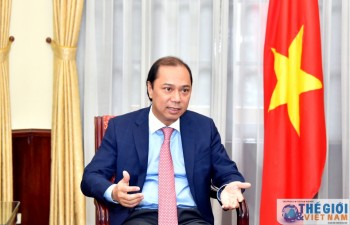 Nhìn lại một năm hình thành cộng đồng ASEAN và đóng góp của Việt Nam