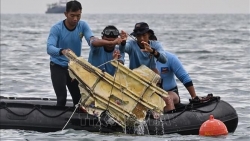 Indonesia bắt được tín hiệu hộp đen của chiếc máy bay gặp nạn