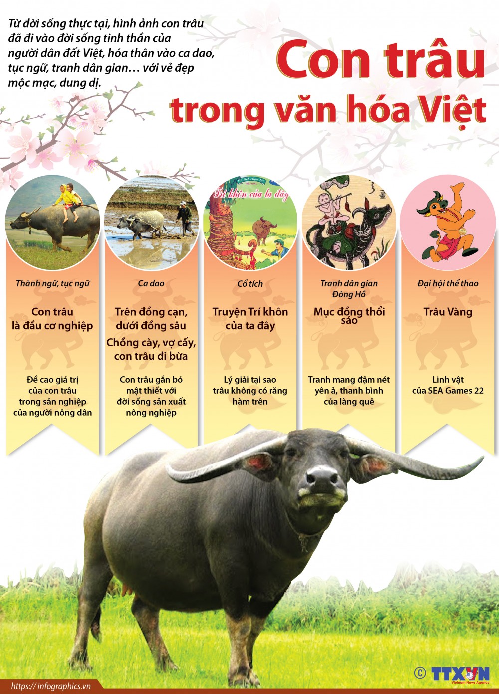 Bạn có biết ý nghĩa của con trâu trong văn hóa Việt