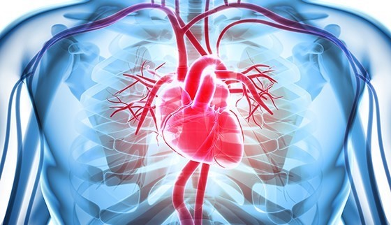 Bệnh lý tim mạch ngày càng tăng sau khi mắc Covid-19