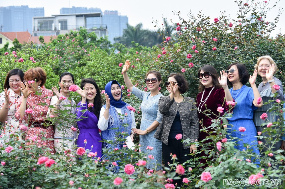 Nhóm Phụ nữ Cộng đồng ASEAN tại Hà Nội hái hoa trổ tài làm nước hoa hồng