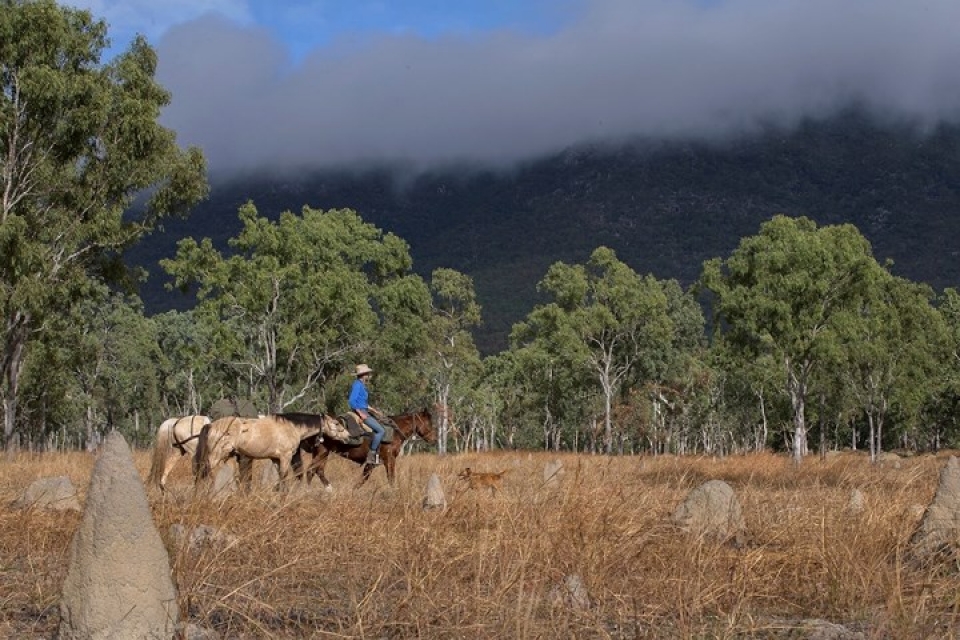 hanh trinh vuot 5000km tai australia cua co gai xinh dep nguoi phap