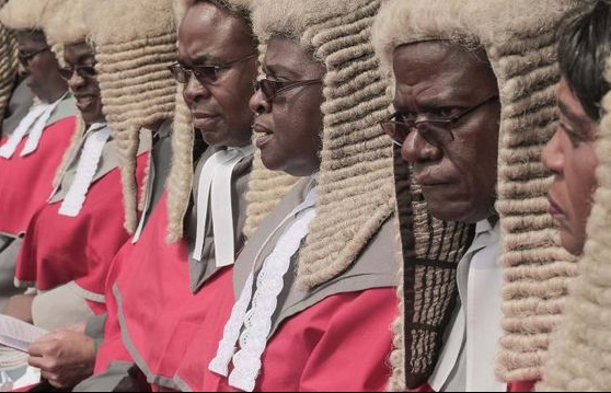 Dân Zimbabwe nổi giận vì Chính phủ nhập... tóc giả cho thẩm phán