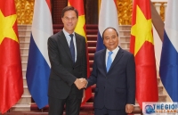 joint statement between vietnam and the netherlands