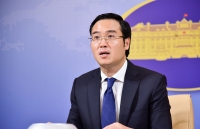 vietnam actively trying to bring citizens in us back home foreign ministry