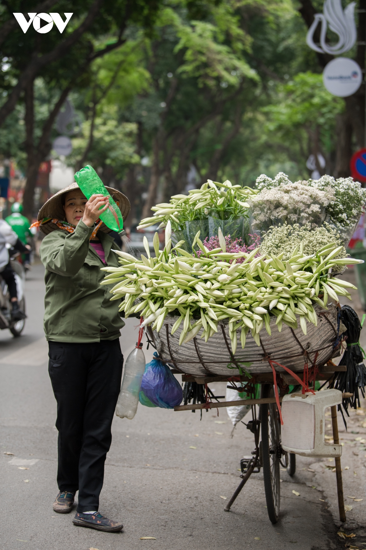 Dịu dàng, tinh khôi mùa hoa loa kèn vấn vương nơi phố phường Hà Nội