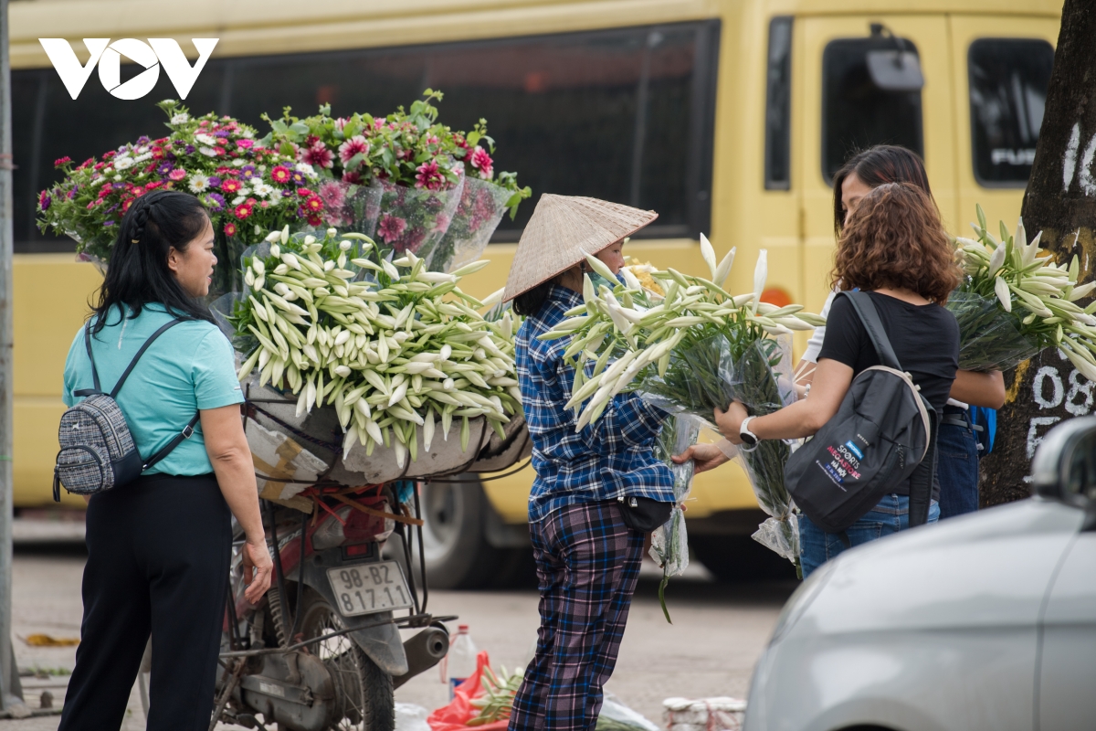 Dịu dàng, tinh khôi mùa hoa loa kèn vấn vương nơi phố phường Hà Nội