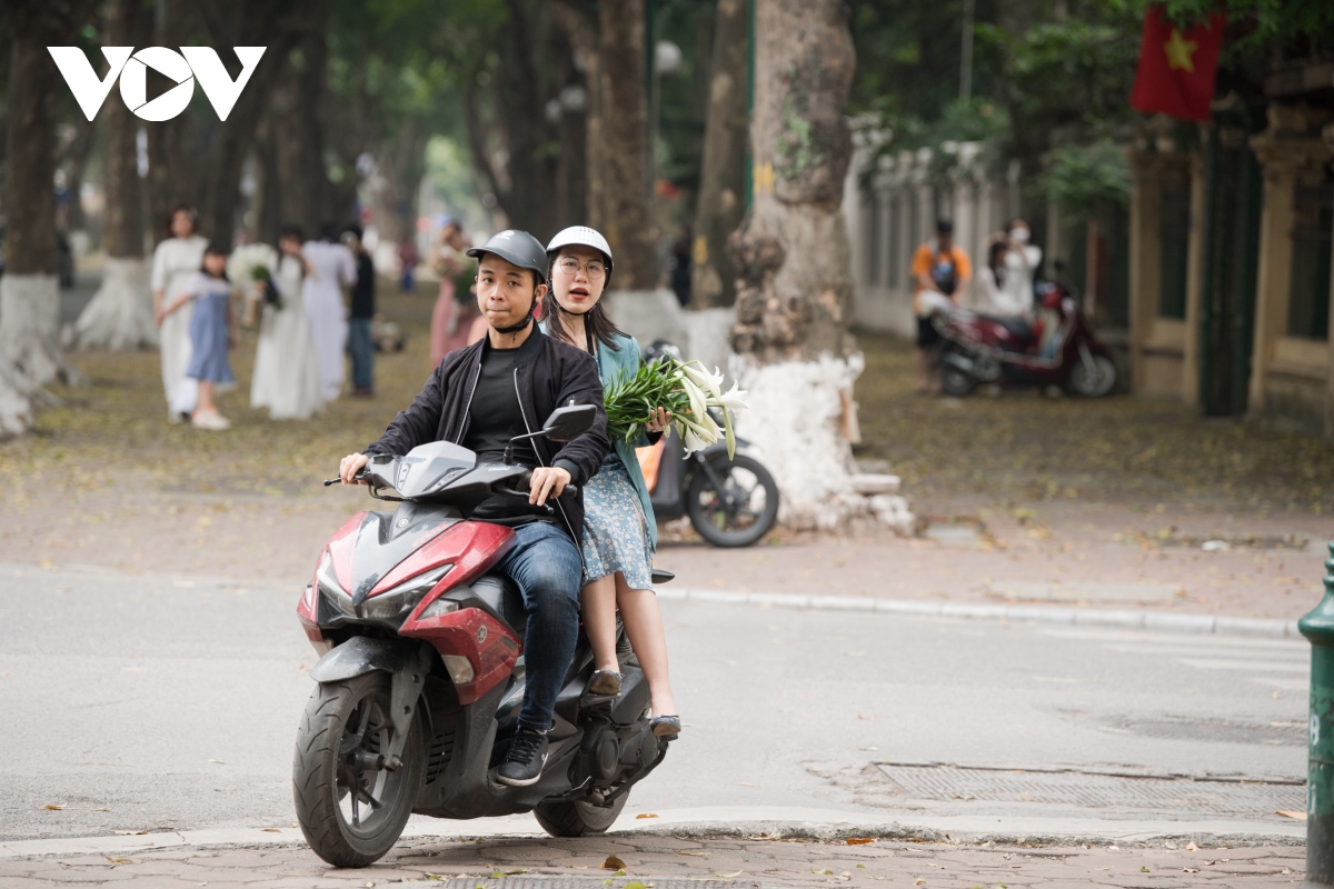 Dịu dàng, tinh khôi mùa hoa loa kèn vấn vương nơi phố phường Hà Nội