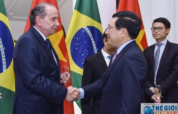 Vietnam hopes for enhanced cooperation with Brazil