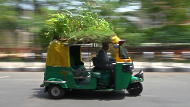 Người đàn ông Ấn Độ trồng cả vườn cây trên mái xe lam để chống nắng