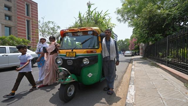 Người đàn ông Ấn Độ trồng cả vườn cây trên mái xe lam để chống nắng