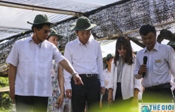 Thứ trưởng thường trực Bùi Thanh Sơn thăm Viện Eakmat và Bảo tàng Đắc Lắk