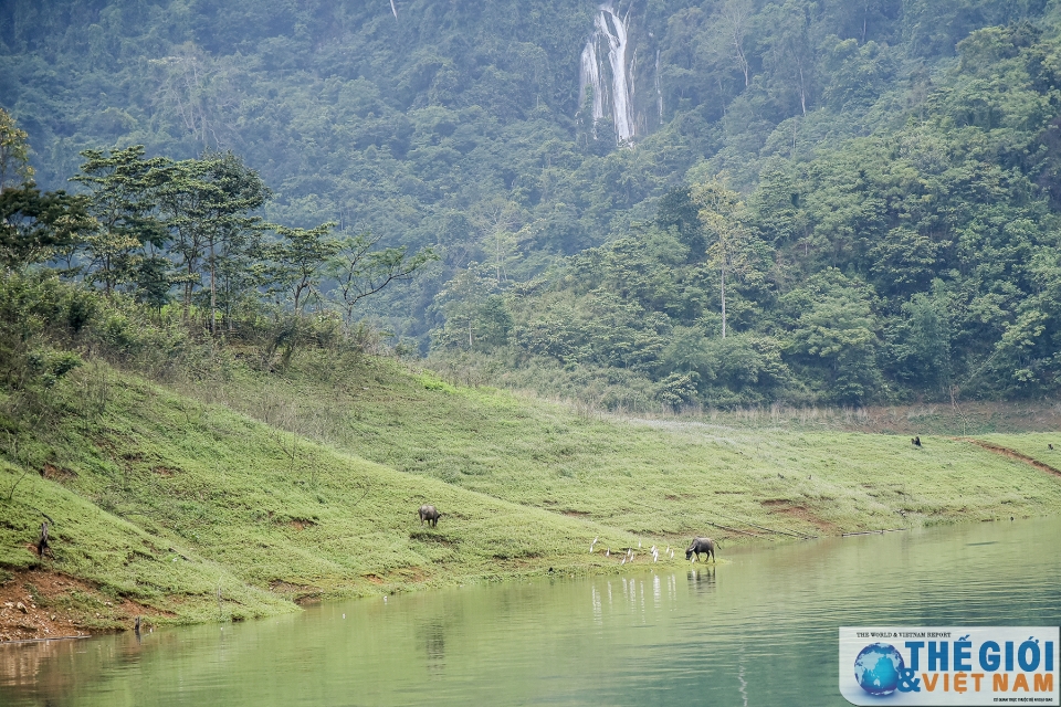 ngam nang tien xanh e ap giua dai ngan xanh ngat