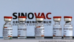 Nepal cấp phép sử dụng khẩn cấp vaccine Sinovac của Trung Quốc