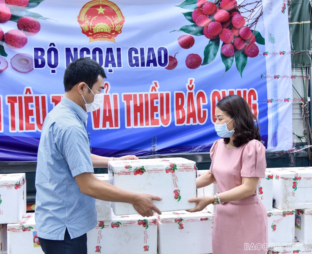 Bộ Ngoại giao hỗ trợ tiêu thụ vải thiều Bắc Giang