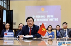 Mekong-Japan Ministerial Conference discusses COVID-19 response