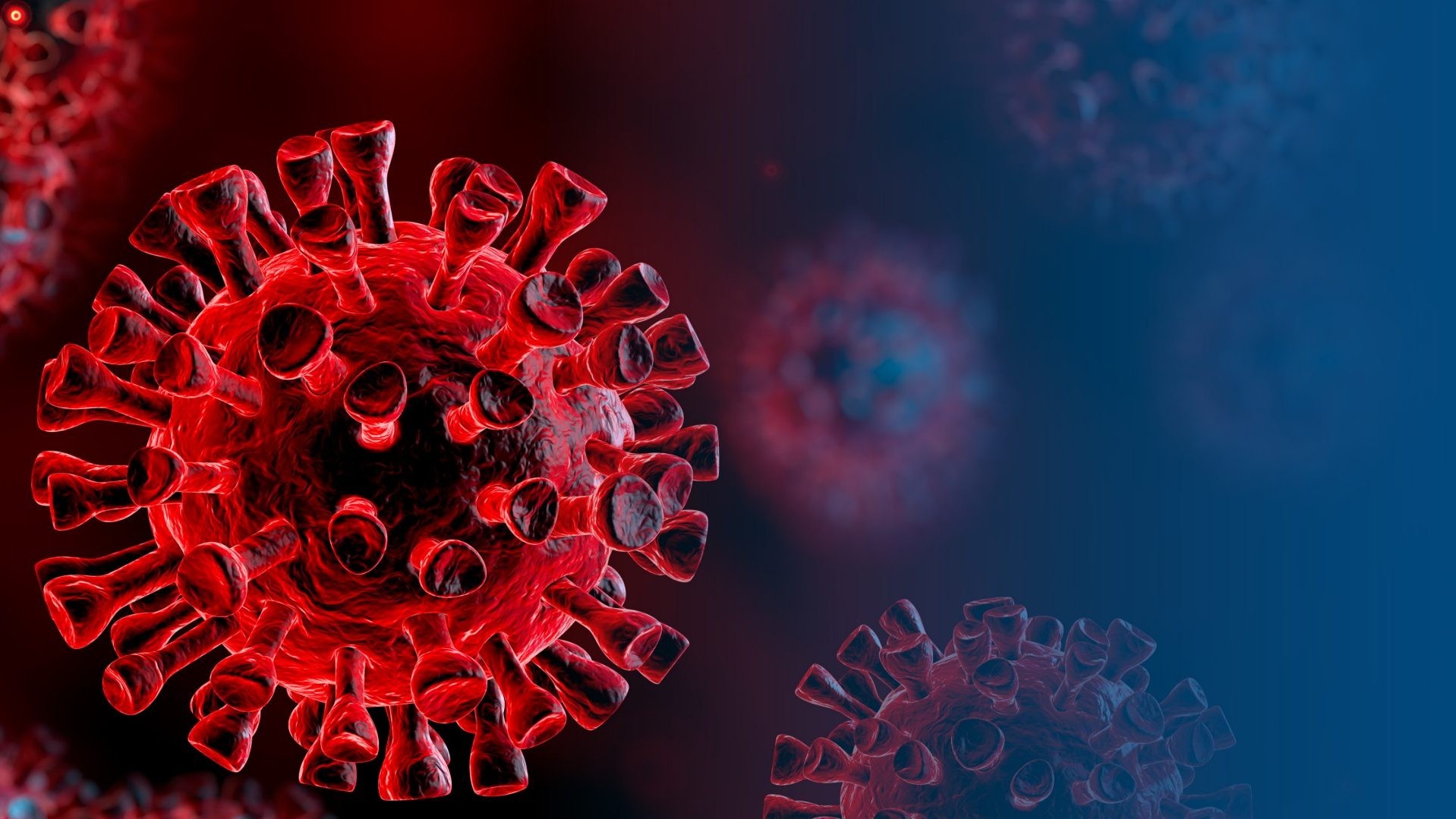 Cảm lạnh thông thường có thể giúp cơ thể 'miễn nhiễm' SARS-CoV-2?