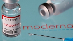 Moderna chậm cung ứng trong bối cảnh thế giới 'khát' vaccine Covid-19