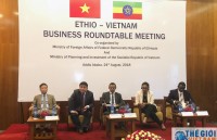 Việt Nam thúc đẩy đầu tư tại châu Phi