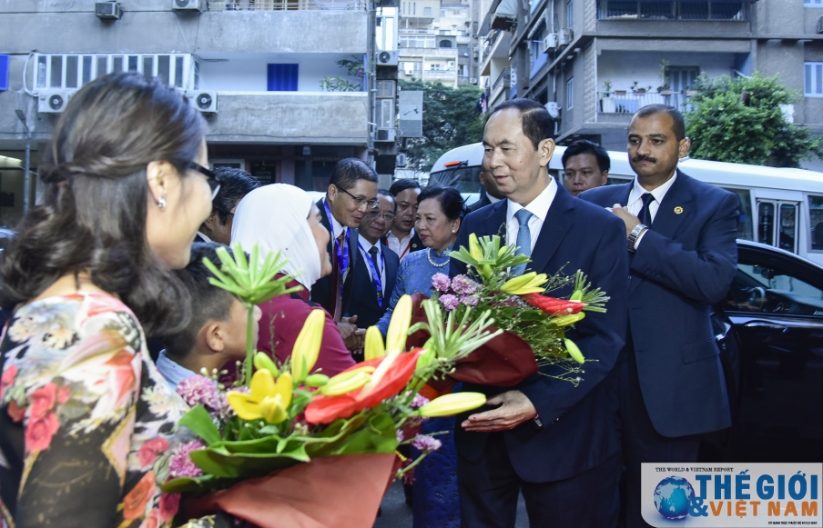 Chủ tịch nước gặp gỡ cộng đồng người Việt tại Ai Cập