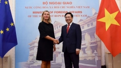 30 năm quan hệ Việt Nam-EU: Đối tác tin cậy, lâu dài và phát triển mạnh mẽ