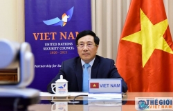 Việt Nam cam kết và kêu gọi các nước tăng cường hợp tác, đoàn kết quốc tế chống dịch Covid-19