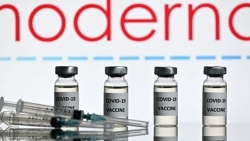 Những người nào nên tạm hoãn tiêm vaccine Moderna?