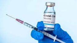 Vì sao phải tiêm vaccine Covid-19 hằng năm?