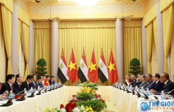 Vietnam, Egypt seal cooperation agreements