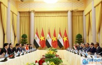 forum seeks measures to boost vietnam egypt trade cooperation