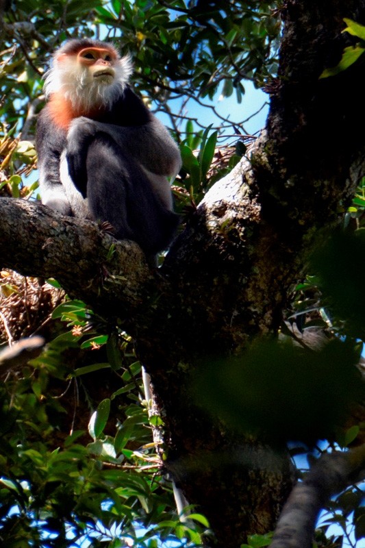 Discovering Kon Ha Nung, a UNESCO-recognised world biosphere reserve