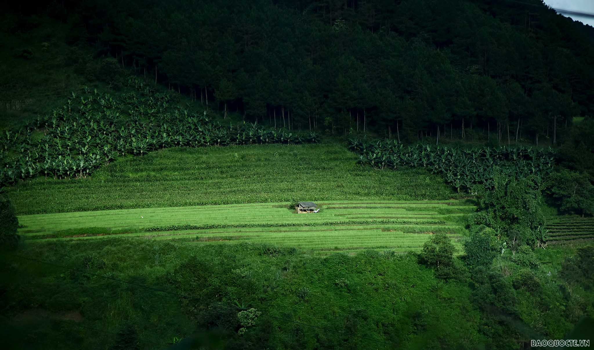 On each curve, there appear the majestic mountains with dotted peaceful houses on halfway.