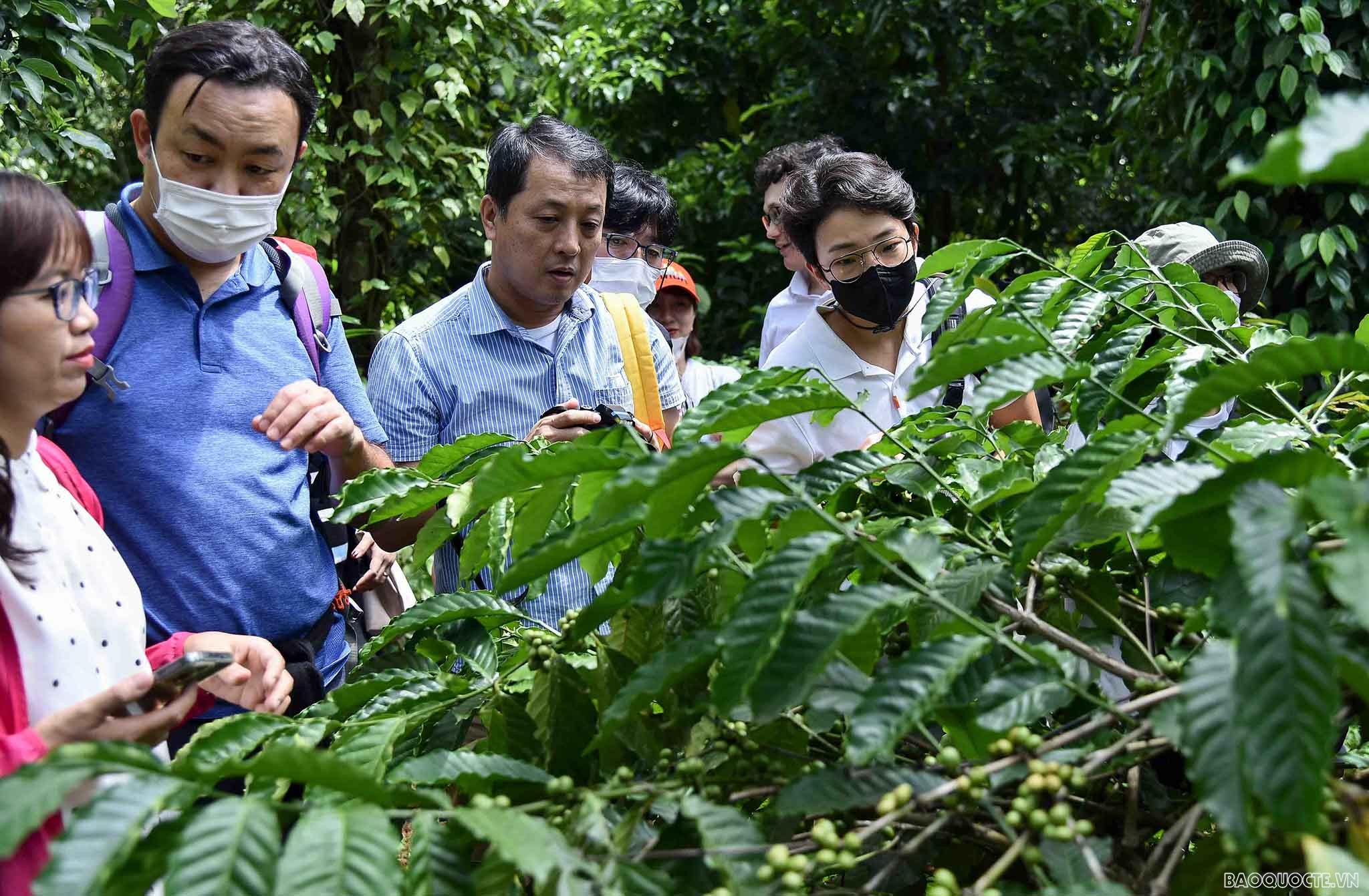 Đoàn phóng viên nước ngoài thăm nơi giáo dân Đắk Lắk sinh hoạt tôn giáo