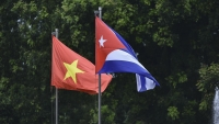Lãnh đạo Việt Nam gửi điện mừng 62 năm ngày thiết lập quan hệ ngoại giao Việt Nam-Cuba
