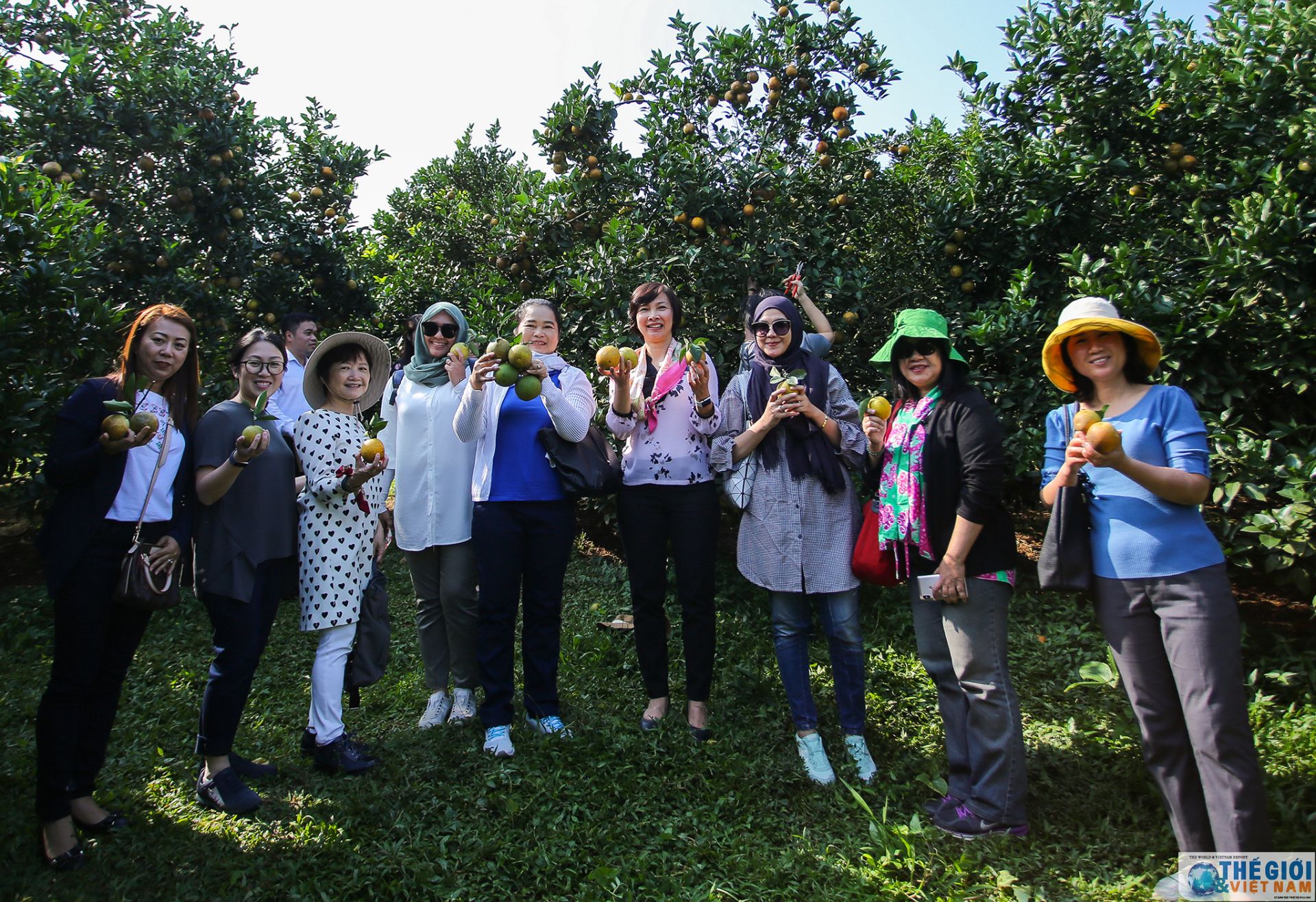 khi thanh vien nhom phu nu cong dong asean tai ha noi tro thanh nguoi lam vuon