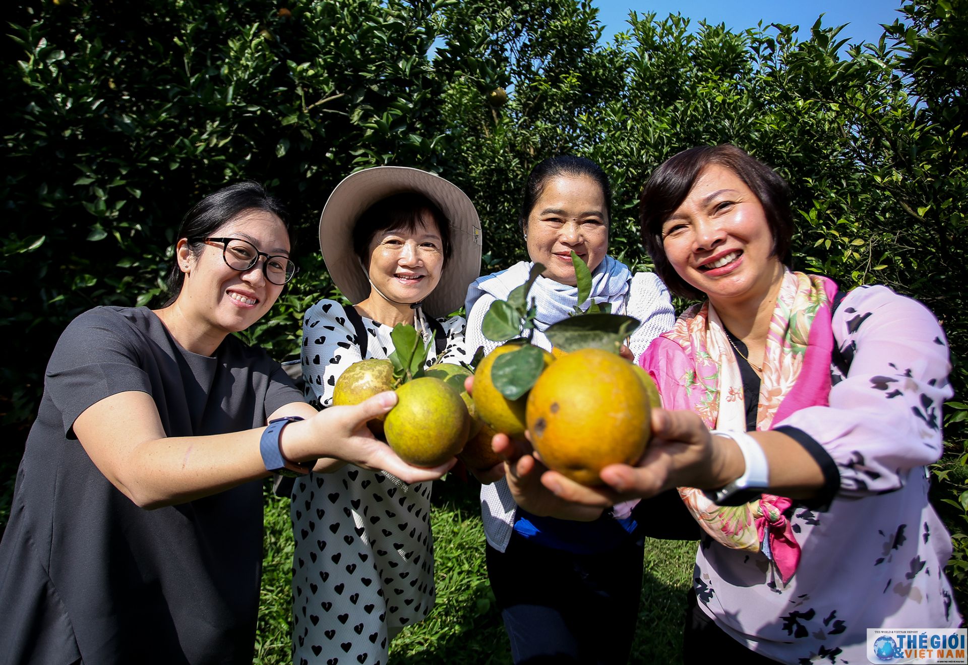 khi thanh vien nhom phu nu cong dong asean tai ha noi tro thanh nguoi lam vuon