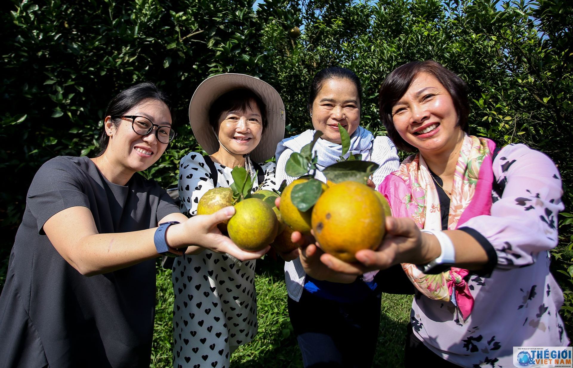 Trải nghiệm làm vườn của Nhóm Phụ nữ Cộng đồng ASEAN tại Hà Nội