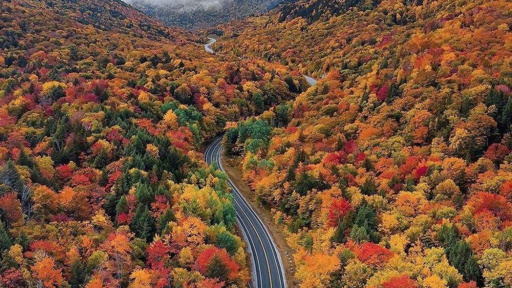 Ngắm cung đường cao tốc phủ kín rừng cây lá đỏ tuyệt đẹp ở Mỹ