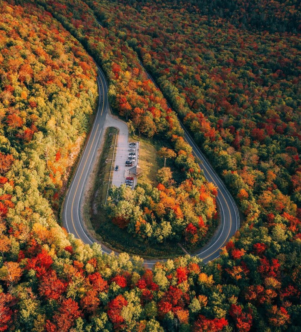 Ngắm cung đường cao tốc phủ kín rừng cây lá đỏ tuyệt đẹp ở Mỹ