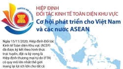 RCEP mang lại động lực mới cho hợp tác kinh tế Trung Quốc - ASEAN