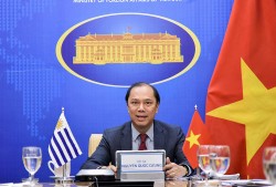 Việt Nam-Uruguay: Nhiều tiềm năng kinh tế thương mại cần khai thác