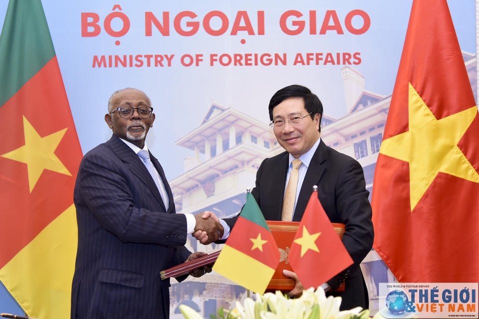 cameroon keen on broadening affiliation with vietnam