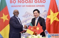 Cameroon keen on broadening affiliation with Vietnam