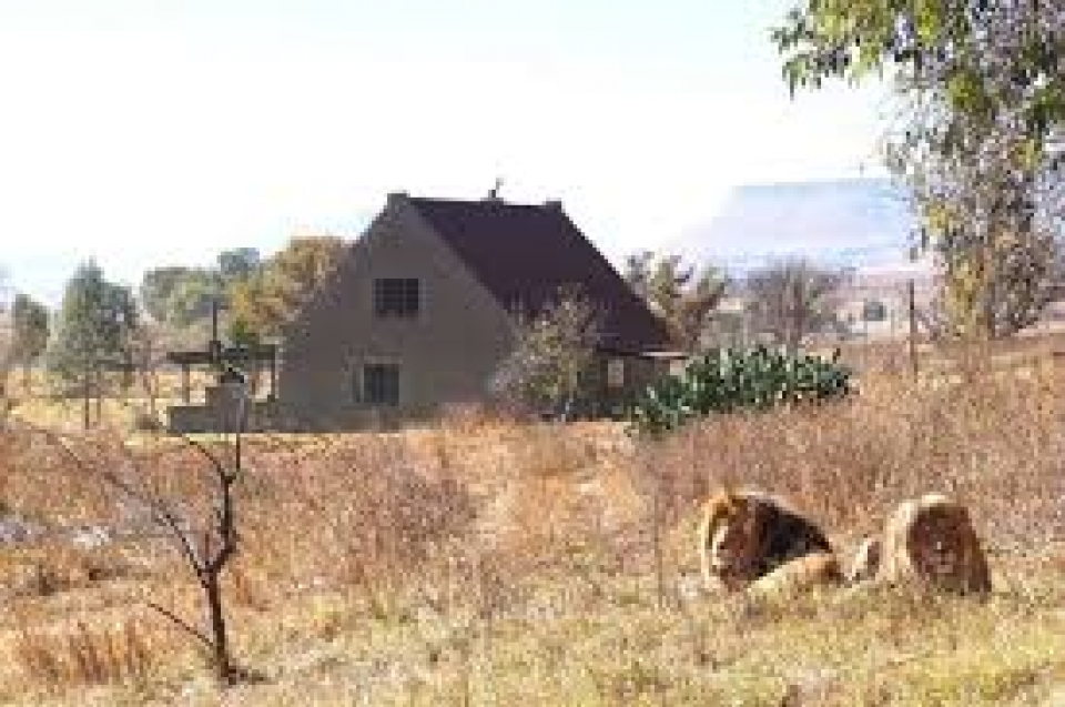 Trải nghiệm du lịch Nam Phi - 100 USD/đêm để ngủ cùng sư tử
