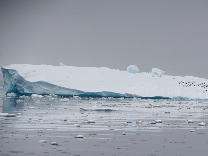 Băng tan ở Nam Cực đã tăng gấp 6 lần kể từ thập niên 70