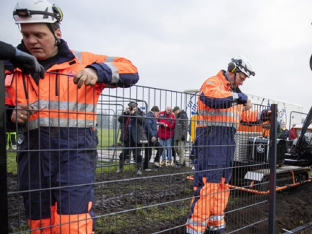 Đan Mạch dựng hàng rào dọc biên giới với Đức để... ngăn lợn rừng