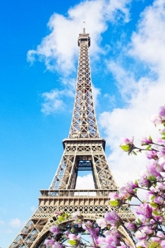 Vì sao nên đến Paris vào mùa Xuân?